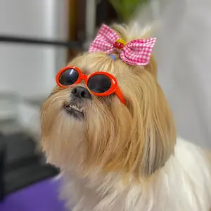 Profile Picture of Clara (@clarinha.shihtzu) on Tiktok