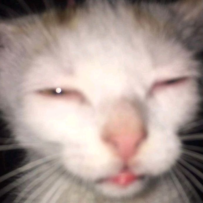 Profile Picture of Danny (@danny_plima) on Tiktok