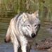 Profile Picture of Gene Weiler (@gene.weiler.3) on Facebook