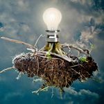 Profile Picture of Tyler Stacy (@strangefidelity) on Instagram