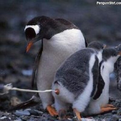 Profile Picture of Chris Wickman (@chriswickman1) on Twitter