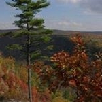 Profile Picture of Joshua Eck (@tgjteck) on Instagram