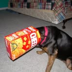 Profile Picture of Jason Francella (@jason.francella) on Facebook