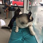 Profile Picture of David Maceda (@davidangelo.m) on Instagram