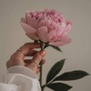 Profile Picture of Amaal Agha (@@amaalagha) on Tiktok