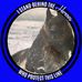Profile Picture of Bruce Marler (@bruce.marler.79) on Facebook