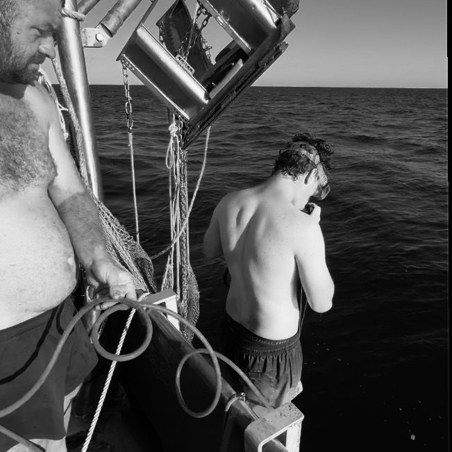 Profile Picture of Alex (@alexis.bonneau) on Tiktok