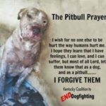 Profile Picture of Caryn Malone (@carynmalone) on Instagram