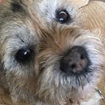 Profile Picture of Stephen Congdon (@stephencongdon) on Instagram