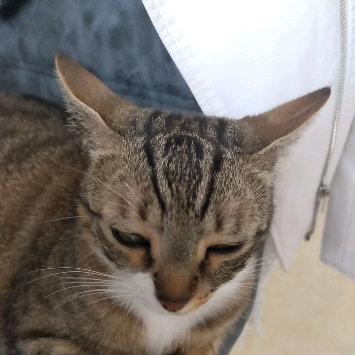 Profile Picture of Barry Rix (@barry.rix6) on Tiktok