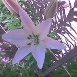 Christian Brousseau - Instagram Profile Picture of Christian Brousseau (@christian.brousseau.75) on Instagram