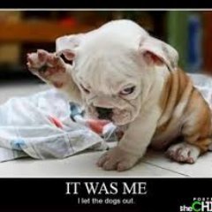 Profile Picture of Jacob Farley (@JimmybearTheBoy) on Twitter