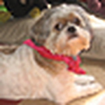 Profile Picture of Tina Boris Lafferty (@tina boris lafferty) on Flickr