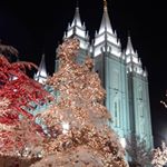 Profile Picture of Lauri Wilson Ealey (@ealeylauri) on Instagram