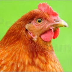 Profile Picture of Bob (@BjarneJunge) on Twitter