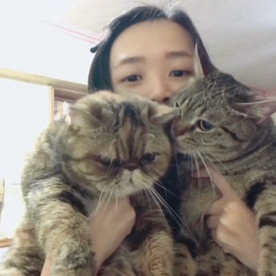 Profile Picture of Shan Cheng (@ShanCheng14) on Twitter