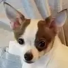 Profile Picture of Fred duel (@daveduel) on Tiktok