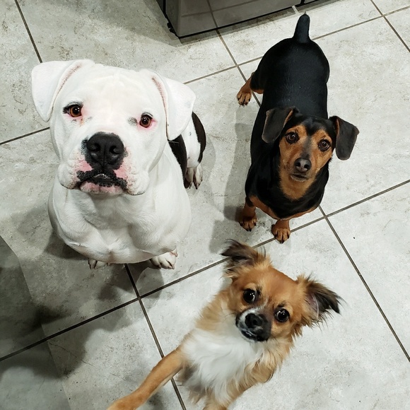 Profile Picture of Jason Peeler (@ffvader) on Poshmark