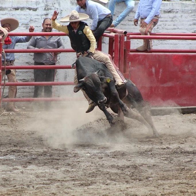 Ivan Bonilla - Tiktok Profile Picture of Ivan Bonilla (@@ivan__bonillaa) on Tiktok