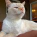 Profile Picture of Paul Carrano (@paul.carrano.988) on Facebook