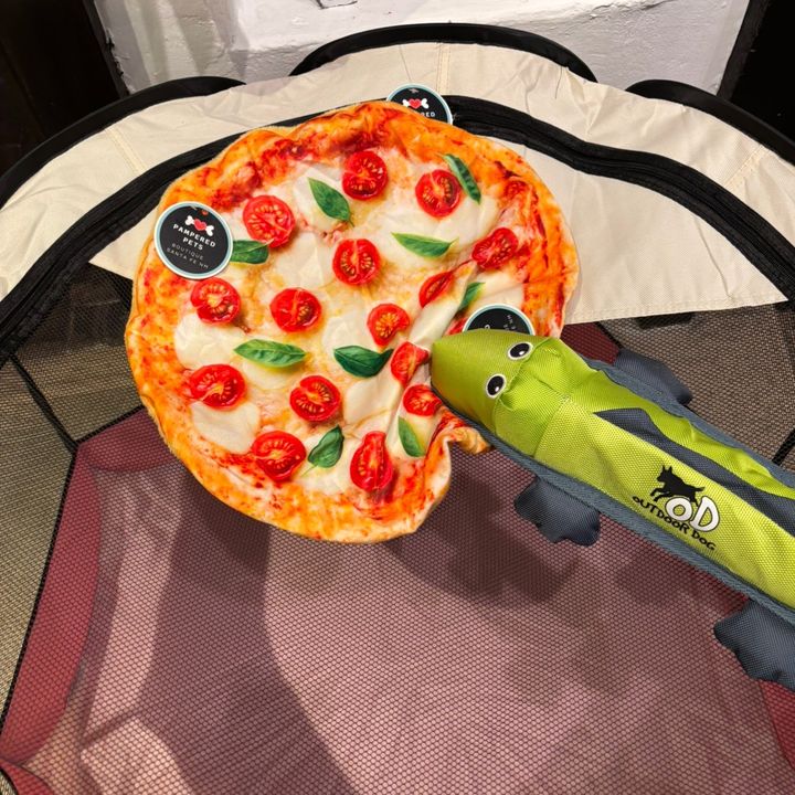 Profile Picture of Brandon (@brandoncolin1) on Tiktok