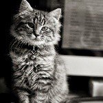 Profile Picture of Jose Antonio Wills Armstrong (@joseantonio.willsarmstrong) on Instagram