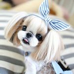Profile Picture of Loyd D. Daniel (@shintzu_lovelylion) on Instagram