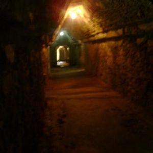 Profile Picture of Rogelio Merino (@327593133) on Myspace