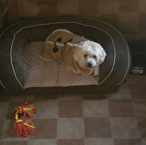 Profile Picture of Nisveta Karajkovic (@nisveta1) on Poshmark