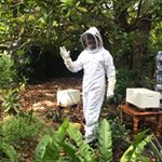 Profile Picture of Adam Scheinberg (@gardens_for_all) on Instagram