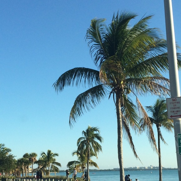 Profile Picture of Marta Winternitz (@winternitz) on Poshmark