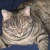 Profile Picture of Joseph Cooter (@joseph.cooter) on Facebook