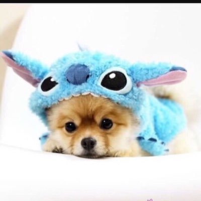 Savannah Lee Lamar - Twitter Profile Picture of Savannah Lee Lamar (@vannybanny25) on Twitter