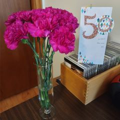 Profile Picture of Paula Hagan (@paula.hagan) on Tiktok