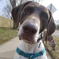 Profile Picture of Tim Littrell (@tim-littrell-5) on Quora