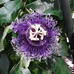 Profile Picture of Daniel Graves (@daniel.graves.56808995) on Instagram