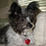 Profile Picture of Chuck Murphy (@chuckmurphy) on Flickr