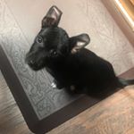 Profile Picture of Jasmine Lugo (@jaslugo12) on Instagram
