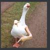 Profile Picture of sethschneider63 (@@sethschneider63) on Tiktok