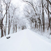 Profile Picture of Jose Martin (@josemartin5449) on Youtube