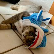 Profile Picture of Ryan Matte (@SmirkyFuriousB) on Youtube