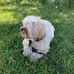 Profile Picture of Sue Schellenberg (@sue.schellenberg.1) on Facebook