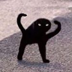 Profile Picture of Myron (@black_head_gull) on Instagram