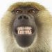 Profile Picture of Daniel Teeter (@danielbteeter) on Pinterest