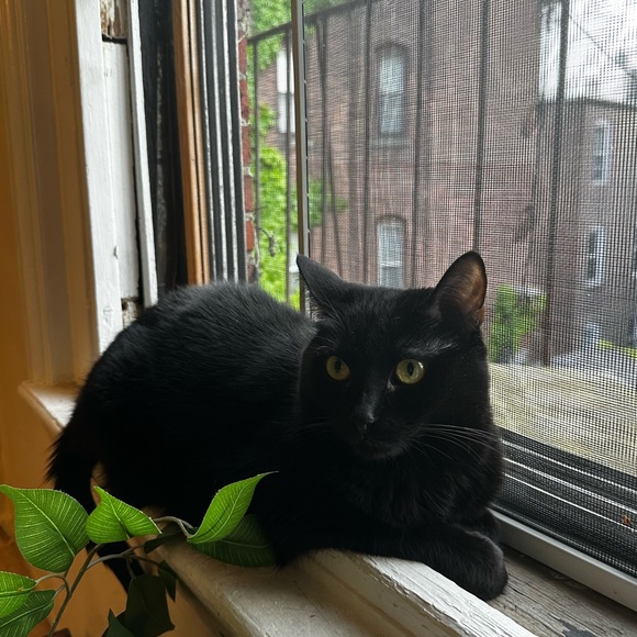 Profile Picture of Olivia Kennison (@oakenn) on Poshmark