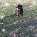 Profile Picture of William Freestone (@william.freestone.716) on Facebook
