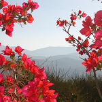 Profile Picture of Adrian Williams (@bonaero) on Flickr