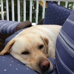 Buddy Humphries - Instagram Profile Picture of Buddy Humphries (@buddy10_24) on Instagram