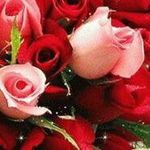 Profile Picture of Deborah Compton Jefferies (@deborahjefferies) on Instagram