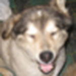 Profile Picture of Brad Johnston (@storyguide3) on Flickr